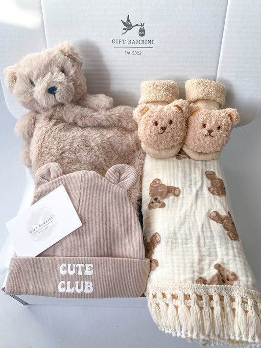 Teddy Bear Baby Gift Box