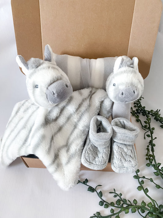 Zebra Themed Welcome Home Baby Gift Box