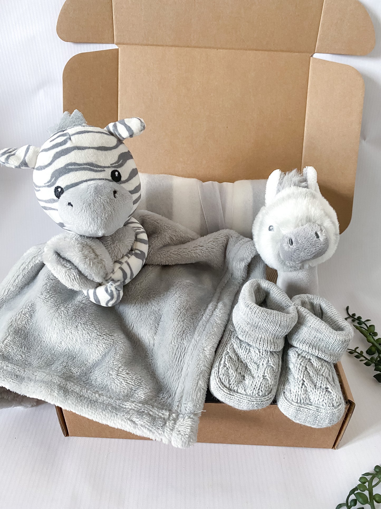 Zebra Themed Welcome Home Baby Gift Box